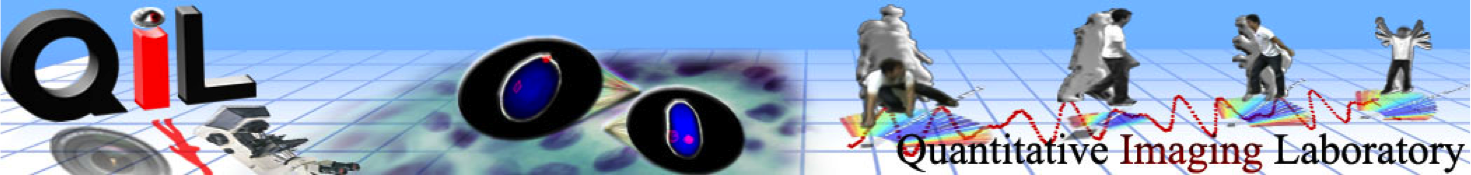 QIL Logo